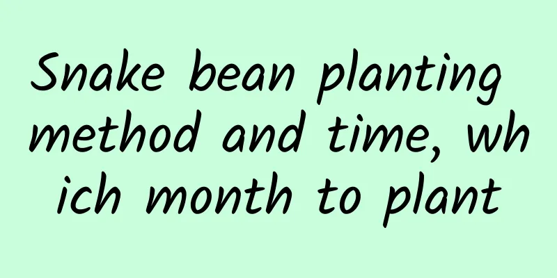 Snake bean planting method and time, which month to plant
