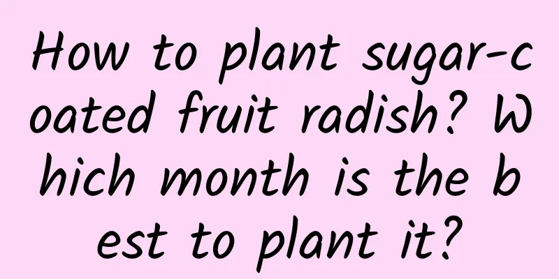 How to plant sugar-coated fruit radish? Which month is the best to plant it?