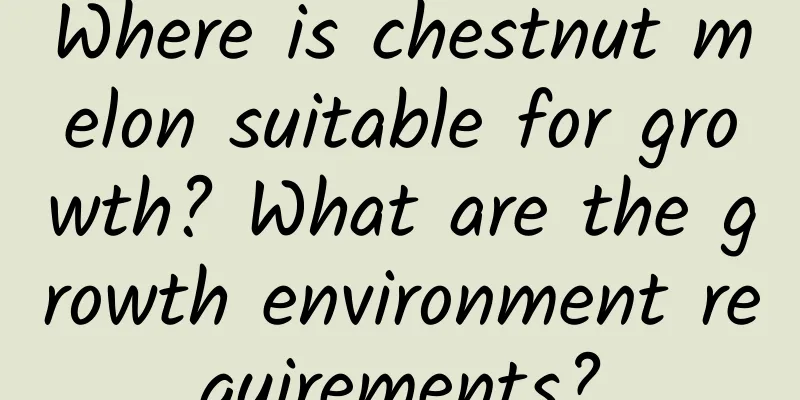 Where is chestnut melon suitable for growth? What are the growth environment requirements?