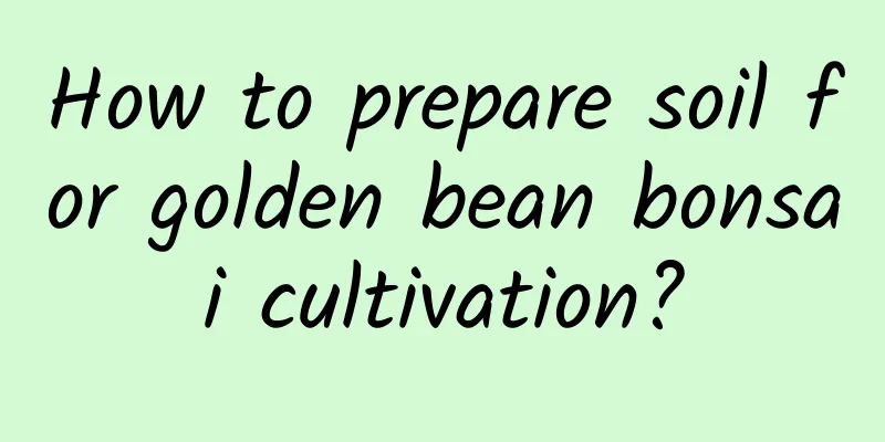How to prepare soil for golden bean bonsai cultivation?