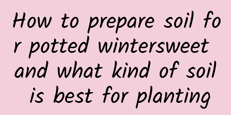 How to prepare soil for potted wintersweet and what kind of soil is best for planting