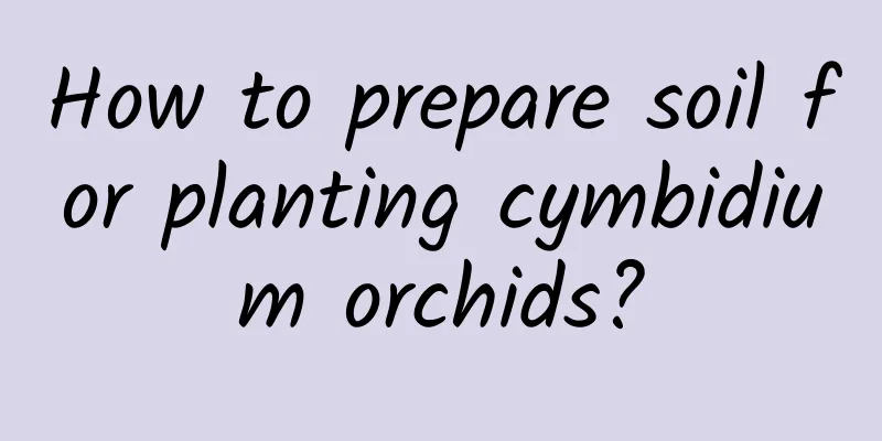 How to prepare soil for planting cymbidium orchids?