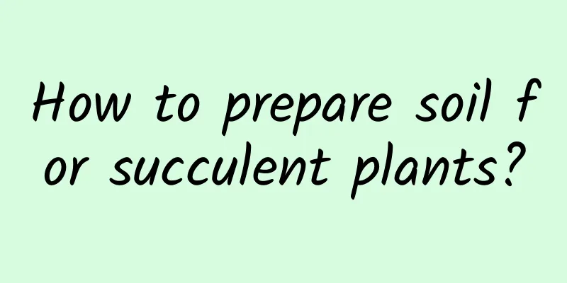 How to prepare soil for succulent plants?