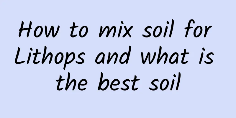 How to mix soil for Lithops and what is the best soil