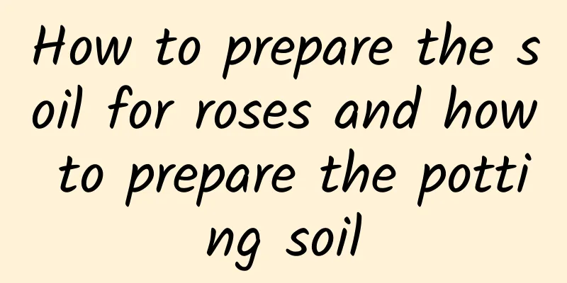 How to prepare the soil for roses and how to prepare the potting soil