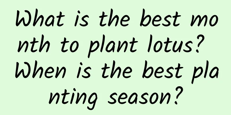 What is the best month to plant lotus? When is the best planting season?