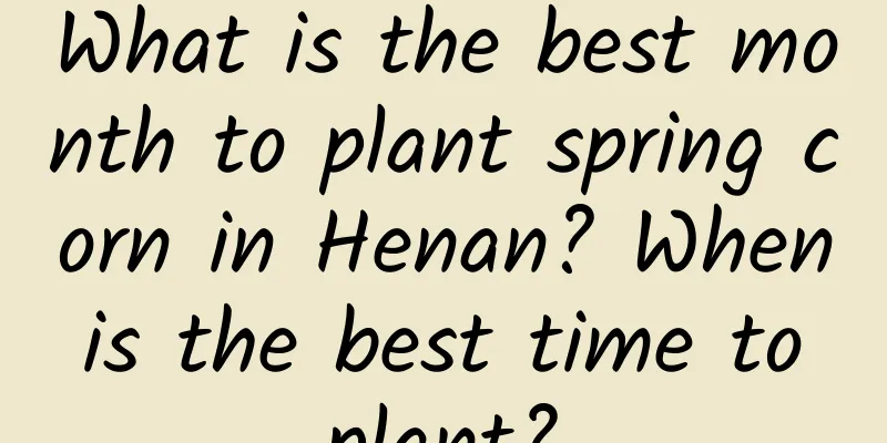 What is the best month to plant spring corn in Henan? When is the best time to plant?