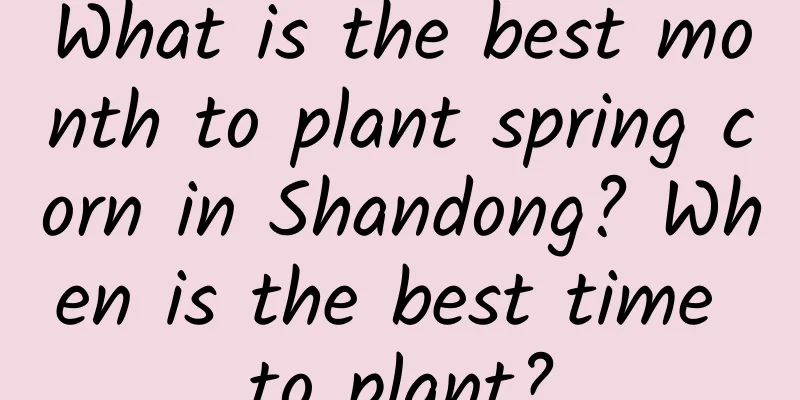 What is the best month to plant spring corn in Shandong? When is the best time to plant?