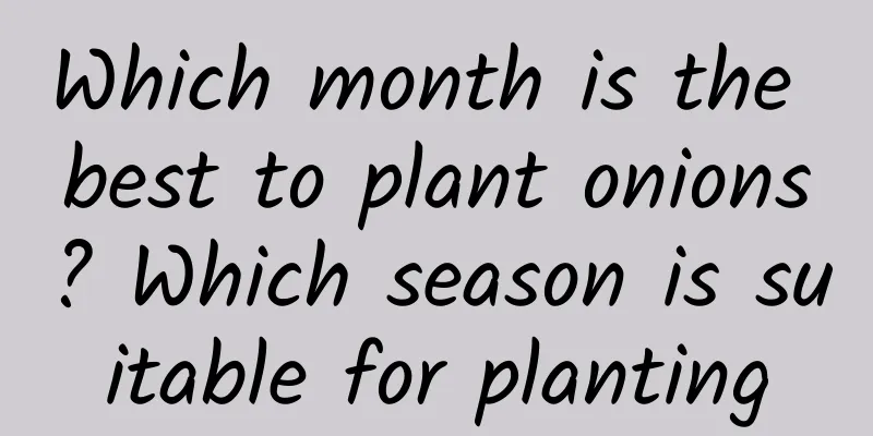 Which month is the best to plant onions? Which season is suitable for planting