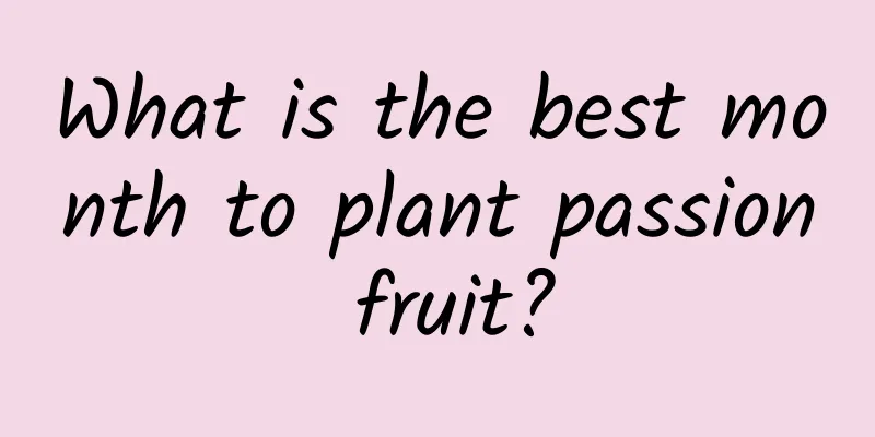 What is the best month to plant passion fruit?