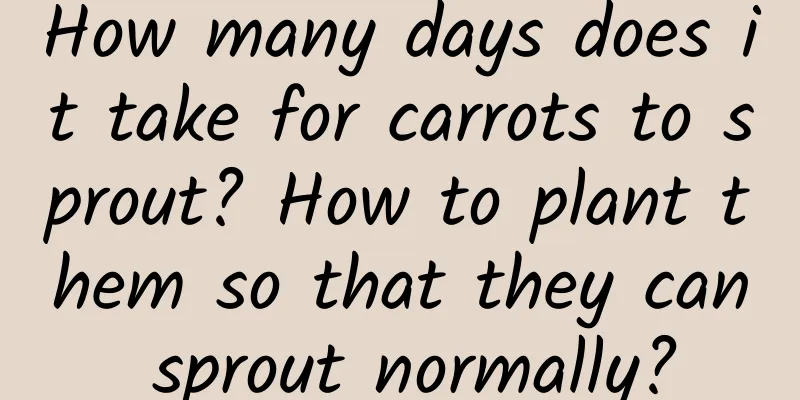 How many days does it take for carrots to sprout? How to plant them so that they can sprout normally?