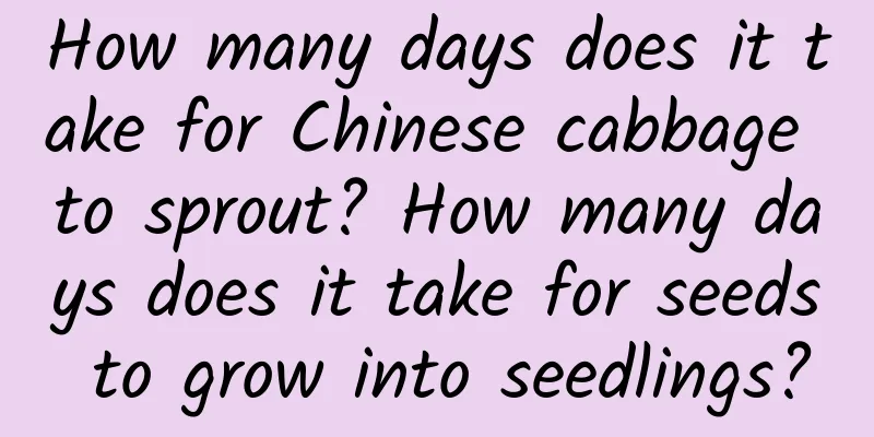 How many days does it take for Chinese cabbage to sprout? How many days does it take for seeds to grow into seedlings?