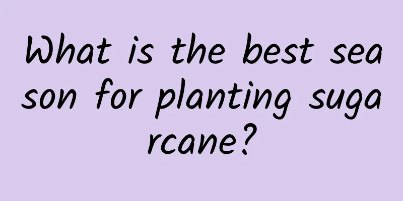 What is the best season for planting sugarcane?