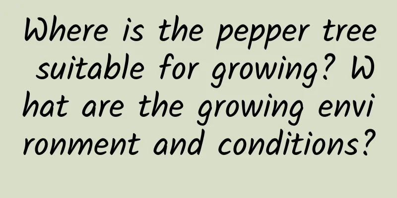 Where is the pepper tree suitable for growing? What are the growing environment and conditions?