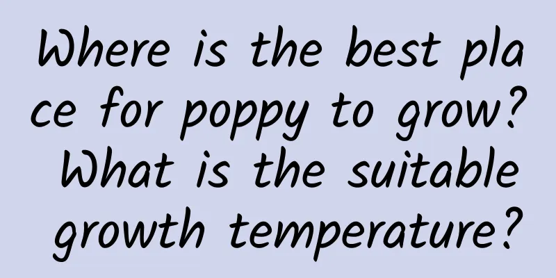 Where is the best place for poppy to grow? What is the suitable growth temperature?