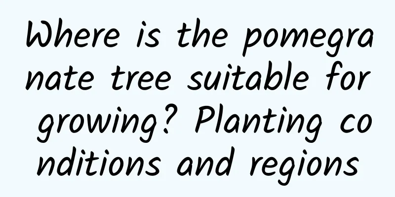 Where is the pomegranate tree suitable for growing? Planting conditions and regions
