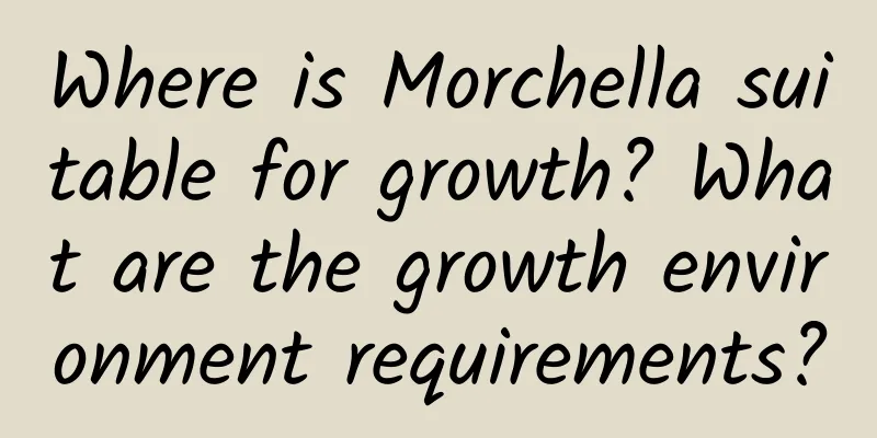 Where is Morchella suitable for growth? What are the growth environment requirements?