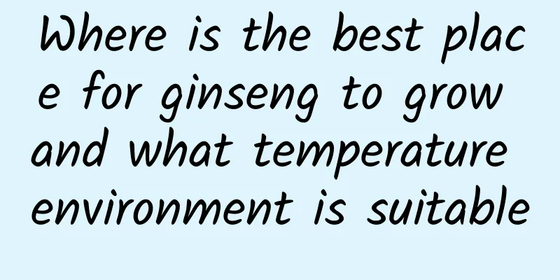 Where is the best place for ginseng to grow and what temperature environment is suitable