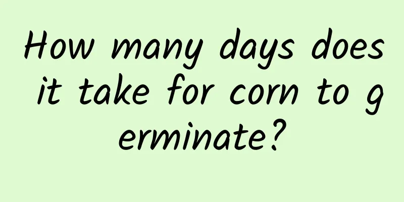 How many days does it take for corn to germinate?