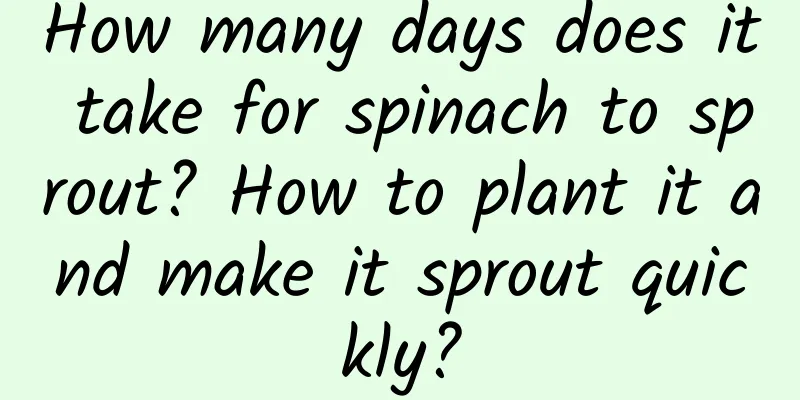 How many days does it take for spinach to sprout? How to plant it and make it sprout quickly?