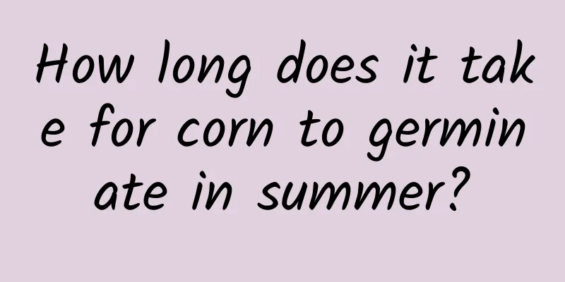 How long does it take for corn to germinate in summer?