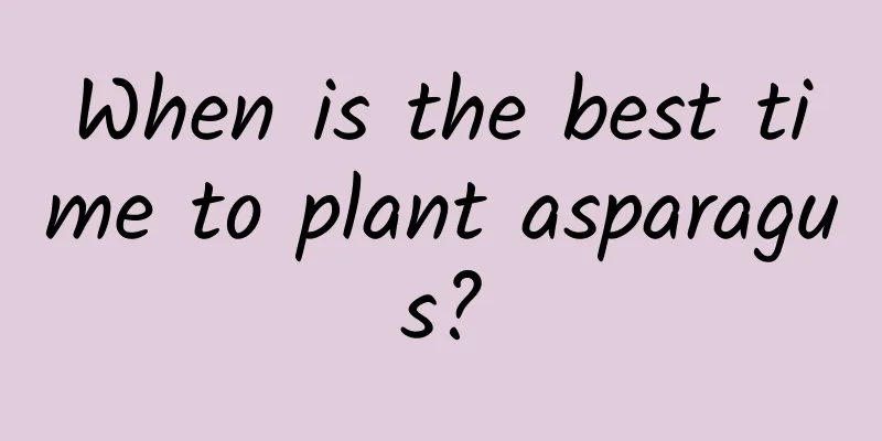 When is the best time to plant asparagus?