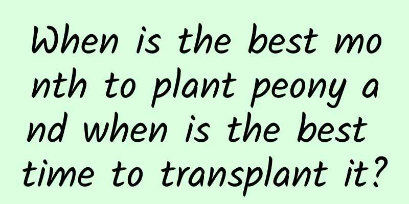 When is the best month to plant peony and when is the best time to transplant it?