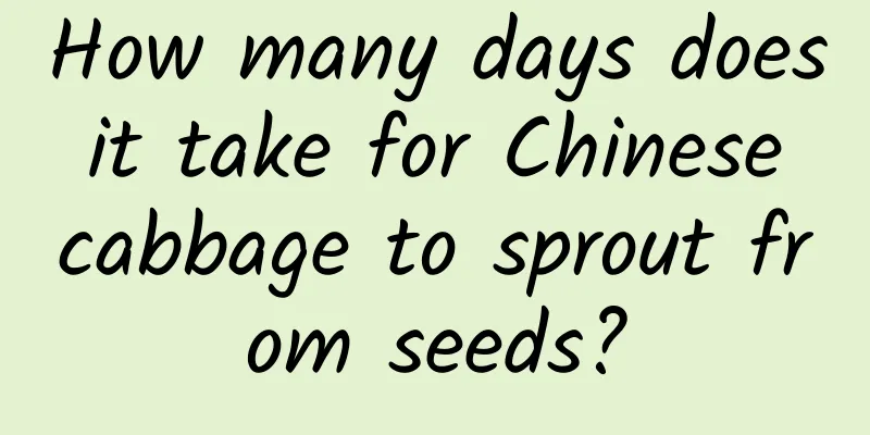 How many days does it take for Chinese cabbage to sprout from seeds?