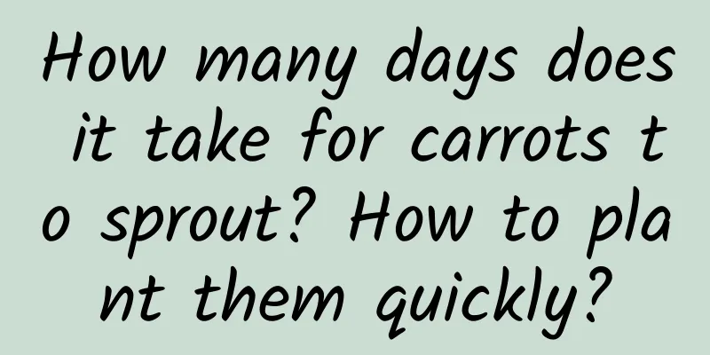 How many days does it take for carrots to sprout? How to plant them quickly?