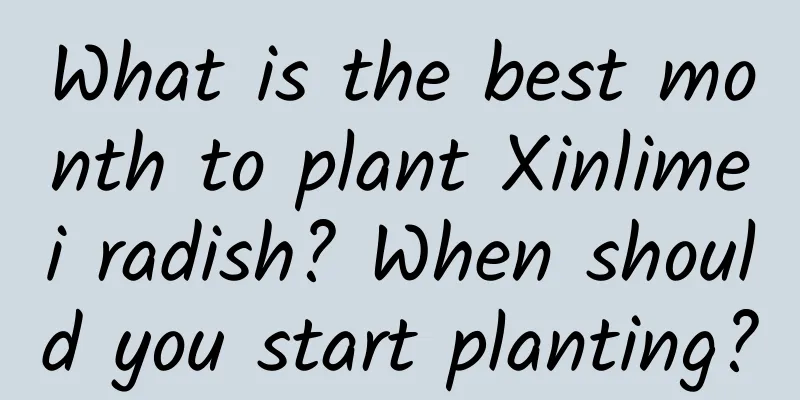 What is the best month to plant Xinlimei radish? When should you start planting?