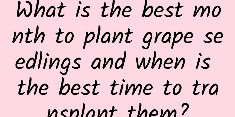 What is the best month to plant grape seedlings and when is the best time to transplant them?