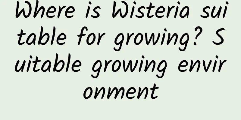 Where is Wisteria suitable for growing? Suitable growing environment