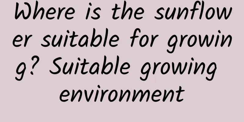 Where is the sunflower suitable for growing? Suitable growing environment