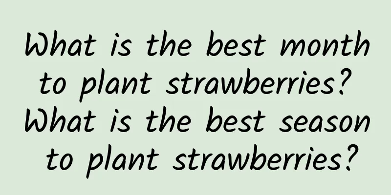 What is the best month to plant strawberries? What is the best season to plant strawberries?