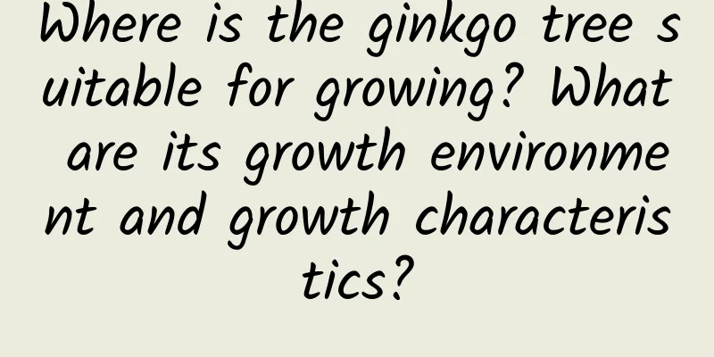 Where is the ginkgo tree suitable for growing? What are its growth environment and growth characteristics?