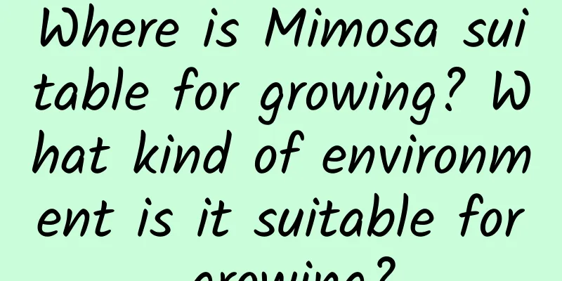 Where is Mimosa suitable for growing? What kind of environment is it suitable for growing?