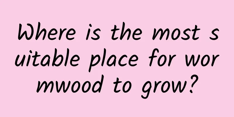 Where is the most suitable place for wormwood to grow?