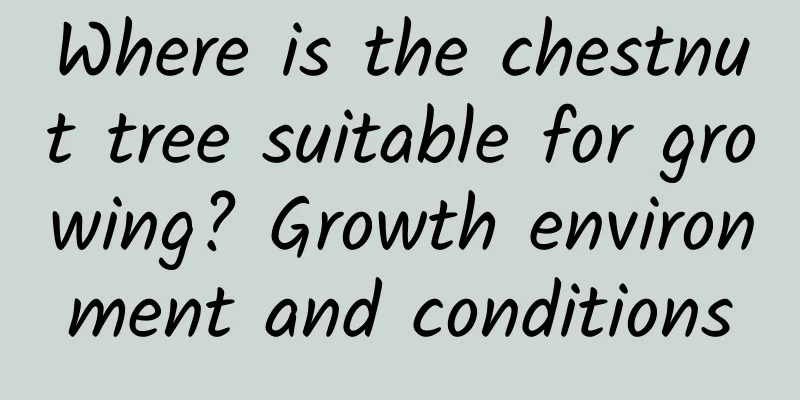 Where is the chestnut tree suitable for growing? Growth environment and conditions