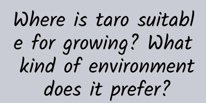 Where is taro suitable for growing? What kind of environment does it prefer?