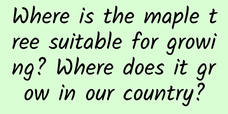 Where is the maple tree suitable for growing? Where does it grow in our country?