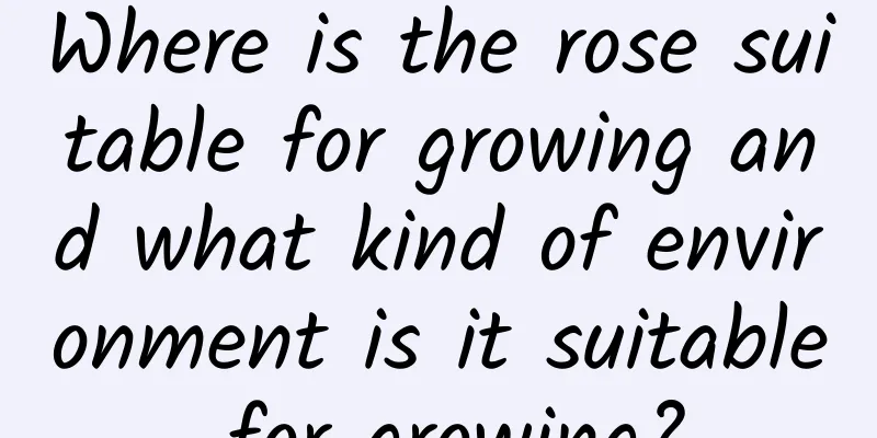Where is the rose suitable for growing and what kind of environment is it suitable for growing?
