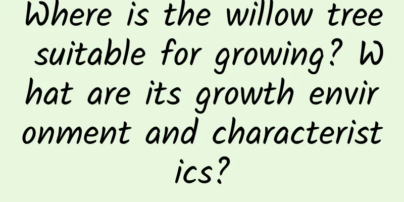 Where is the willow tree suitable for growing? What are its growth environment and characteristics?