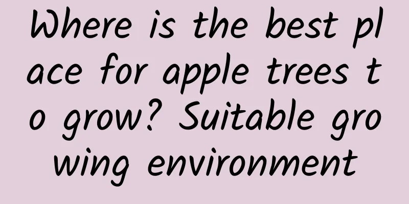 Where is the best place for apple trees to grow? Suitable growing environment