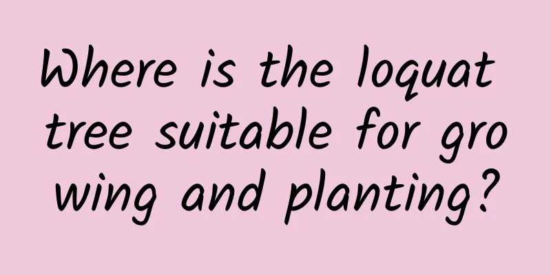 Where is the loquat tree suitable for growing and planting?