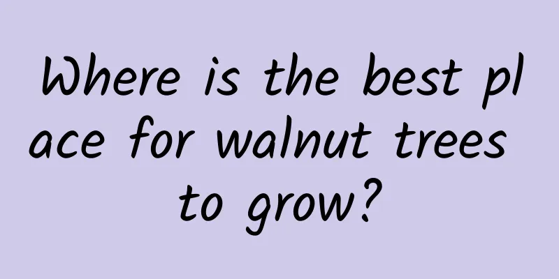 Where is the best place for walnut trees to grow?
