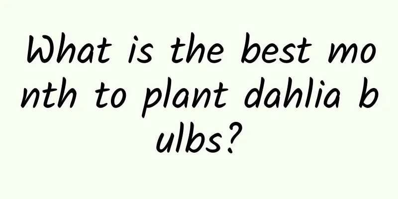 What is the best month to plant dahlia bulbs?