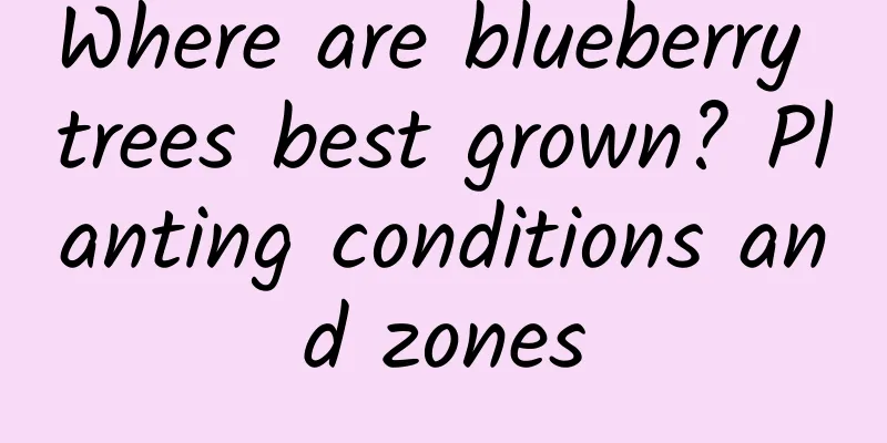 Where are blueberry trees best grown? Planting conditions and zones