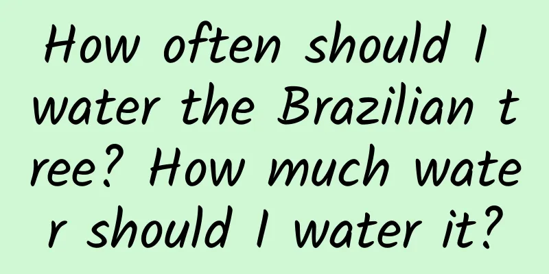How often should I water the Brazilian tree? How much water should I water it?