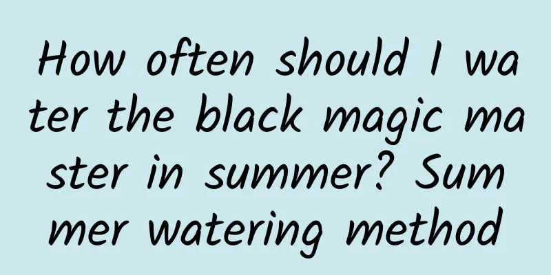 How often should I water the black magic master in summer? Summer watering method