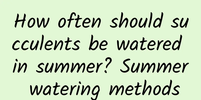 How often should succulents be watered in summer? Summer watering methods